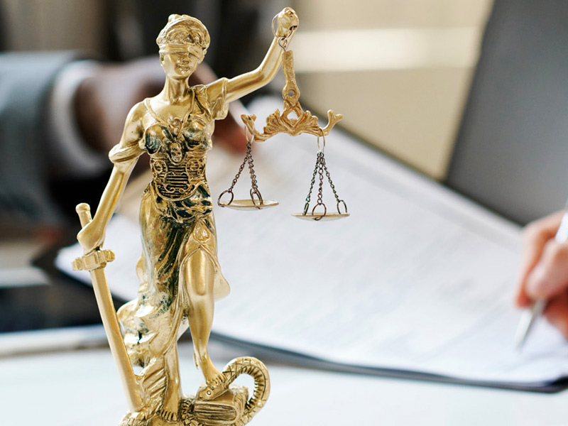 Securities Litigation & Arbitration Support